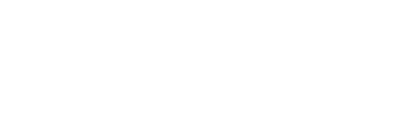 Mr. Pauer